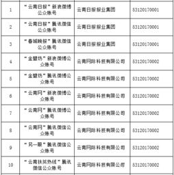 云南信息報旗下六產品獲首批互聯網新聞信息服務許可，賦能區域信息服務新格局