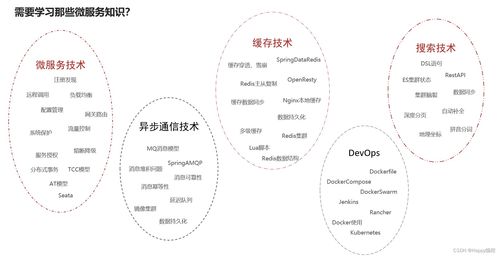 微服務(wù)全景圖及其學(xué)習(xí)內(nèi)容 聚焦互聯(lián)網(wǎng)接入相關(guān)服務(wù)